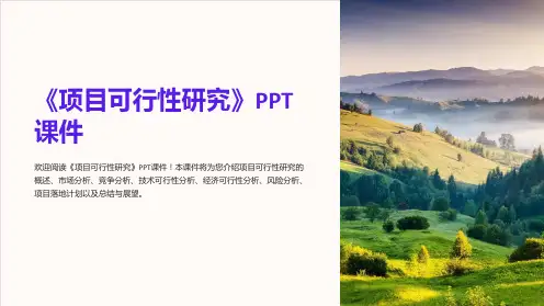 《项目可行性研究》课件