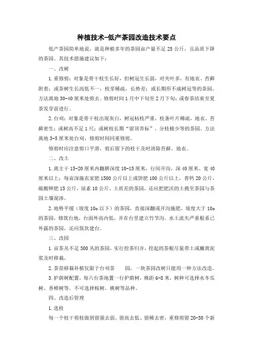 种植技术-低产茶园改造技术要点
