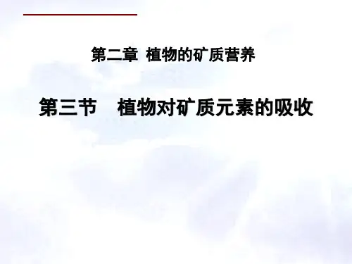 植物对矿质元素的吸收