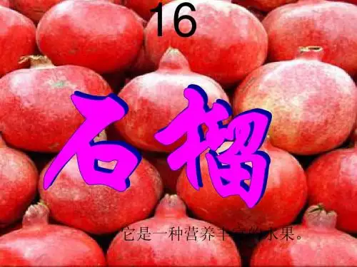苏教版小学语文三年级上册16石榴课件课件