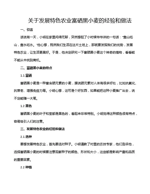 关于发展特色农业富硒黑小麦的经验和做法