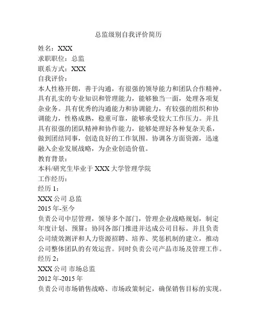 总监级别自我评价简历