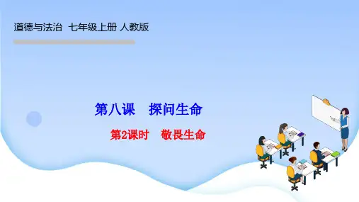 部编人教版七年级道德与法治上册作业课件 第四单元 生命的思考 第八课 探问生命 第2课时 敬畏生命