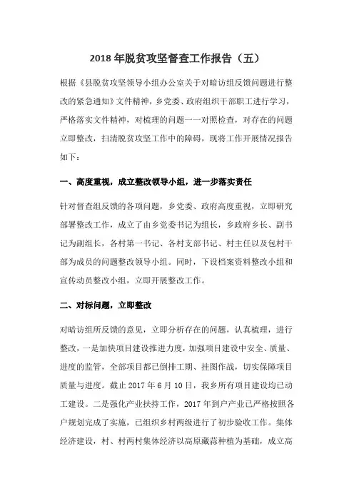 2018年脱贫攻坚督查工作报告(五)