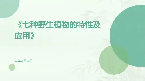 七种野生植物的特性及应用