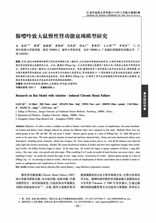 腺嘌呤致大鼠慢性肾功能衰竭模型研究