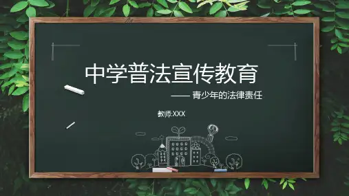 专题资料中学普法宣传教育青少年的法律责任PPT课件