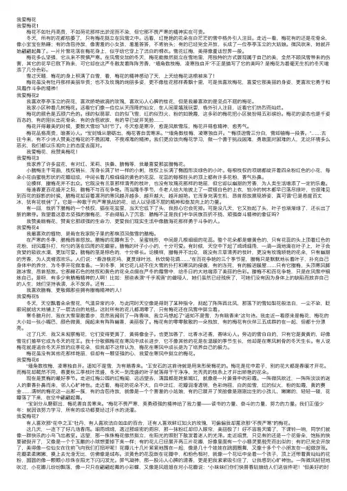 我爱梅花——精选推荐