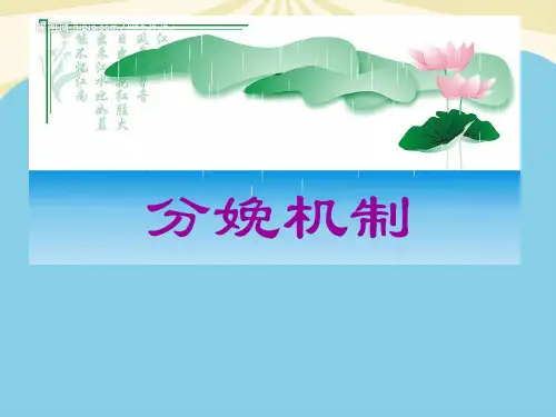 【正式版】分娩机制PPT资料