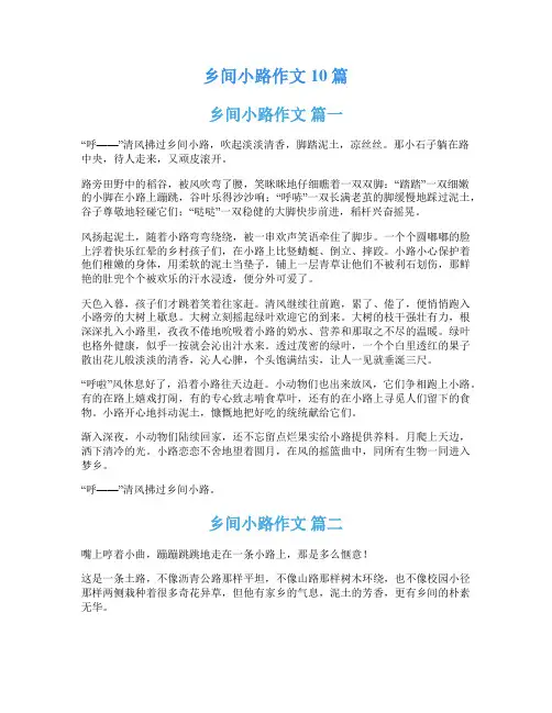 乡间小路作文10篇
