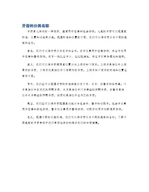 牙齿的分类名称