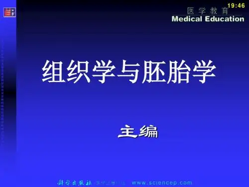 2-2上皮组织(涂腊根)