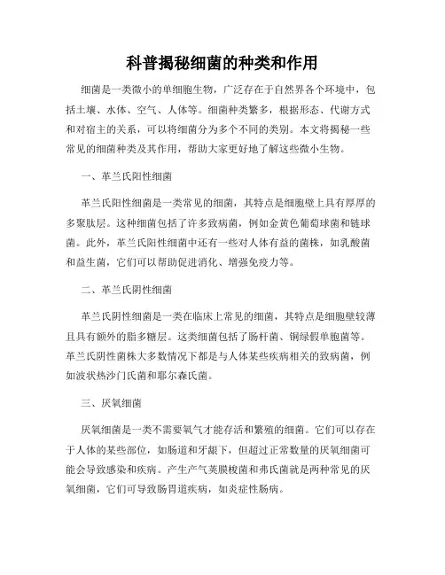 科普揭秘细菌的种类和作用