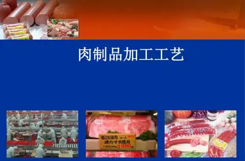 肉品工艺学