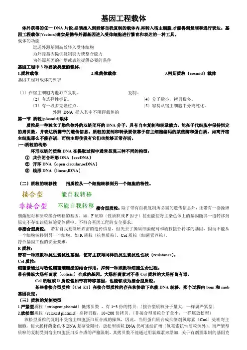 基因工程载体