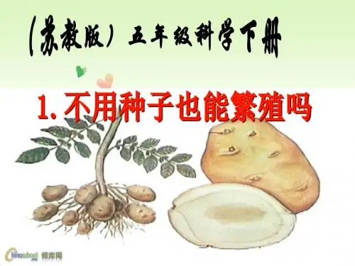 苏教小学科学五下《3.1.不用种子也能繁殖吗》PPT课件(3)