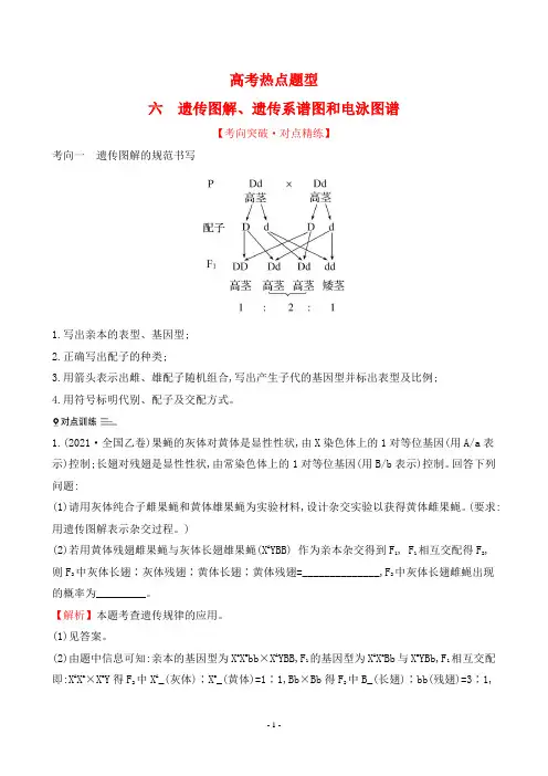 2022年人教版生物高考总复习第四部分高考热点题型六 遗传图解、遗传系谱图和电泳图谱