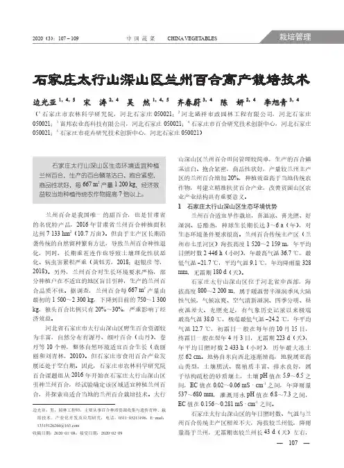 石家庄太行山深山区兰州百合高产栽培技术