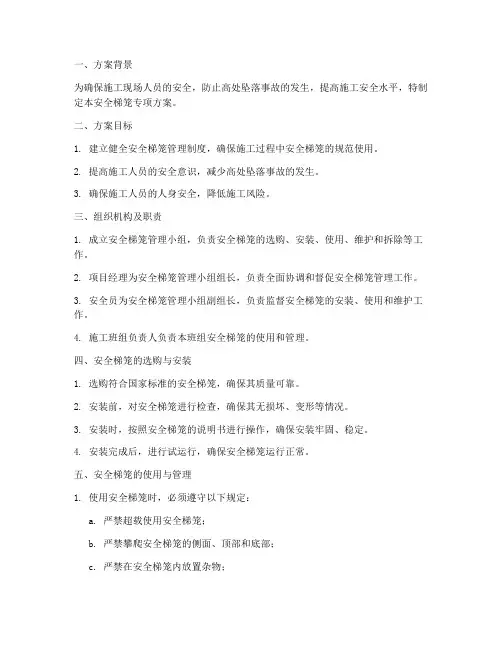 安全梯笼专项方案