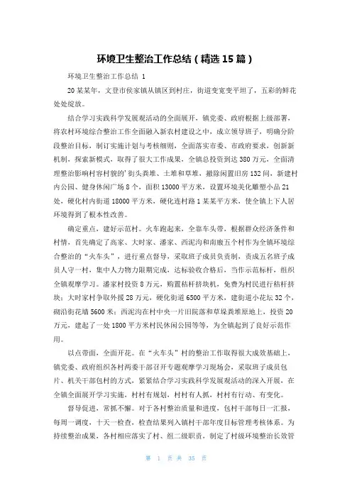 环境卫生整治工作总结(精选15篇)