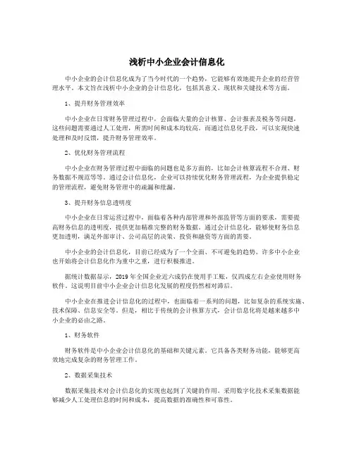 浅析中小企业会计信息化