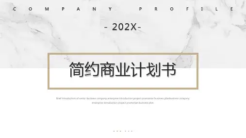 商业计划书PPT模板