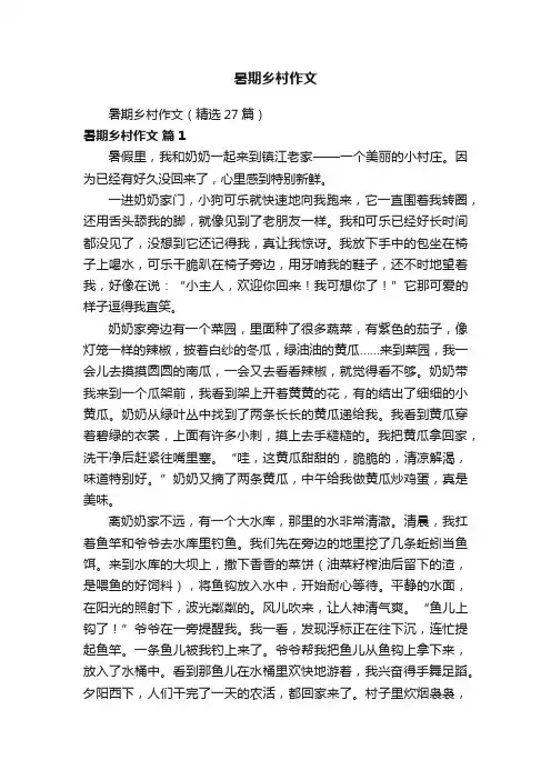 暑期乡村作文（精选27篇）