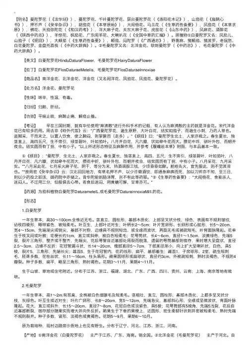 外用药——洋金花