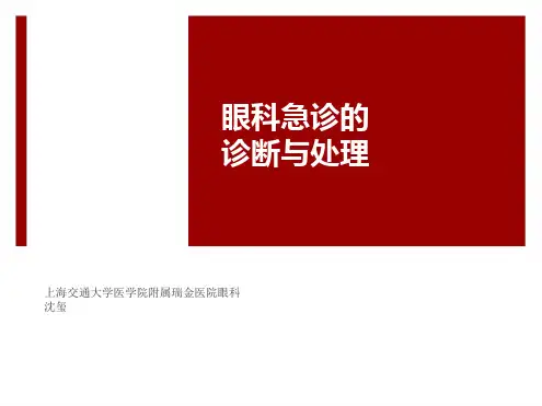 《眼科急诊》PPT课件