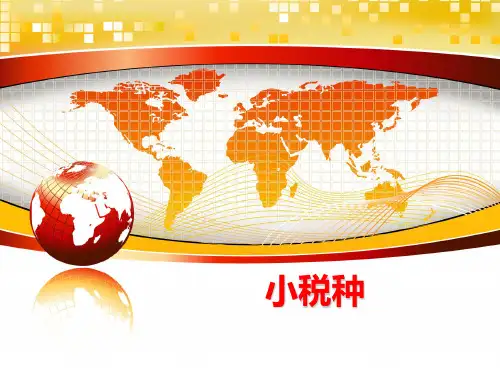 最新小税种PPT课件