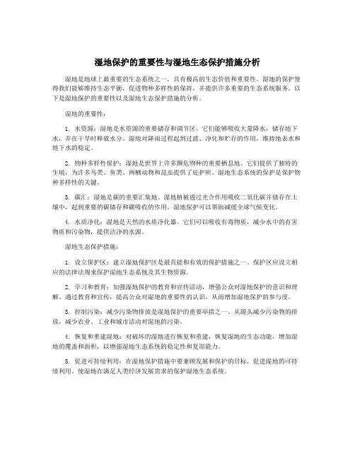湿地保护的重要性与湿地生态保护措施分析