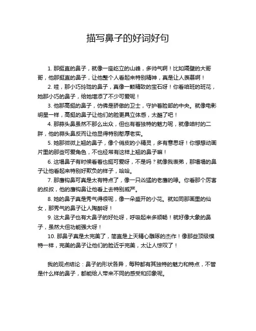 描写鼻子的好词好句