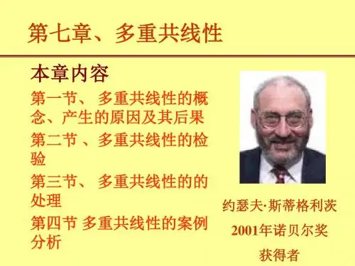 第七章多重共线性精品课件
