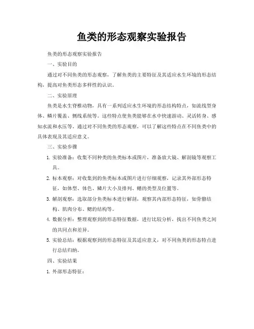 鱼类的形态观察实验报告
