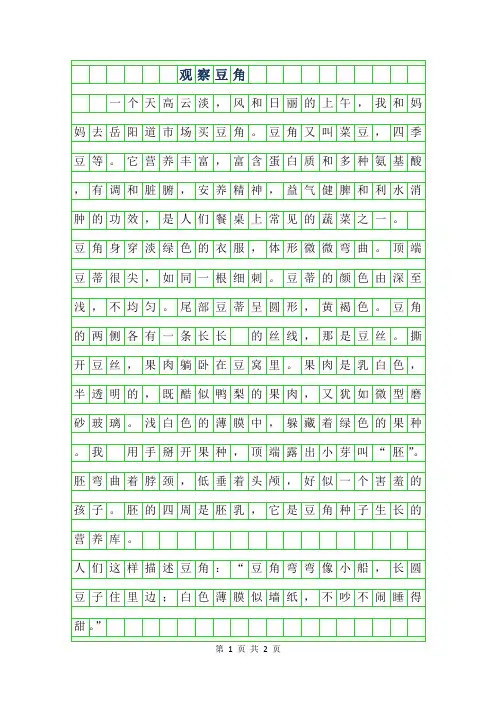 2019年观察豆角作文100字