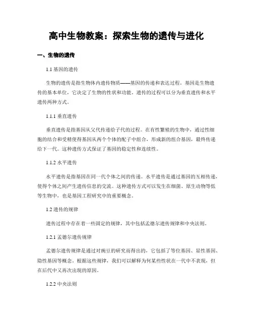 高中生物教案：探索生物的遗传与进化