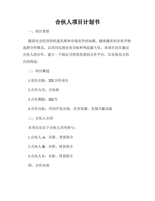 合伙人项目计划书