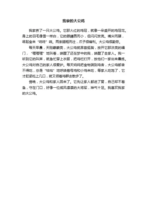 我家的大公鸡