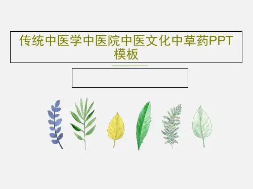 传统中医学中医院中医文化中草药PPT模板共34页