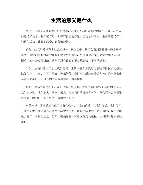 生活的意义是什么