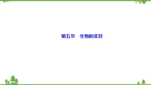 人教版八年级生物下册 第七单元 第二章第五节 生物的变异习题课件(共18张PPT)