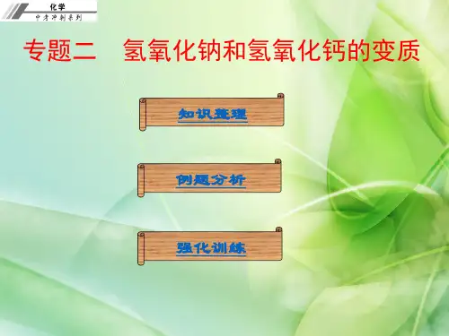 初中化学中考专题复习课件  专题二  氢氧化钠和氢氧化钙的变质