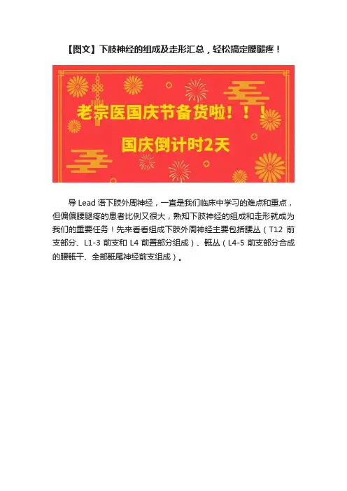 【图文】下肢神经的组成及走形汇总，轻松搞定腰腿疼！