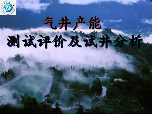 产能测试评价及试井分析_OK