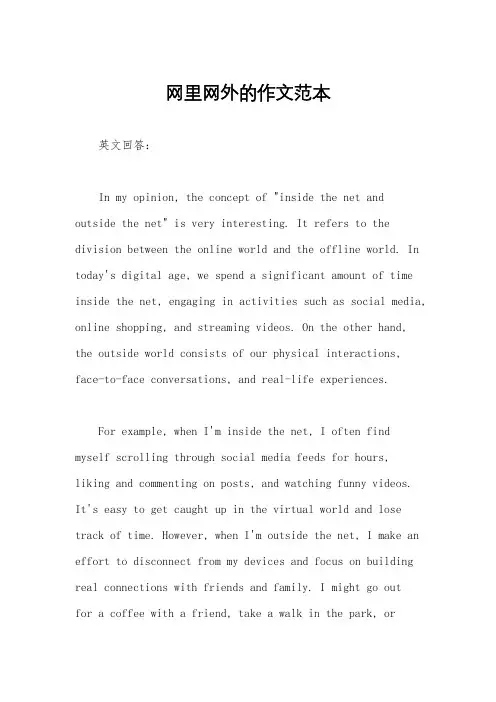 网里网外的作文范本
