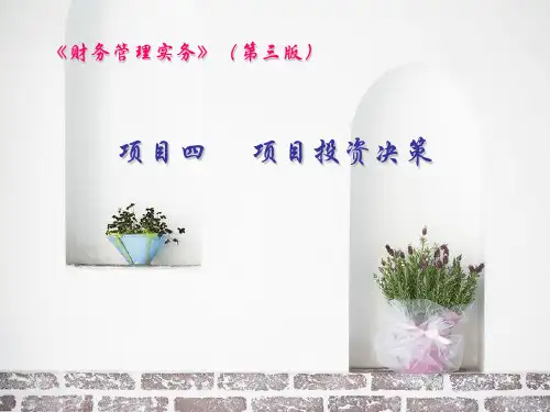 某项目投资决策概论