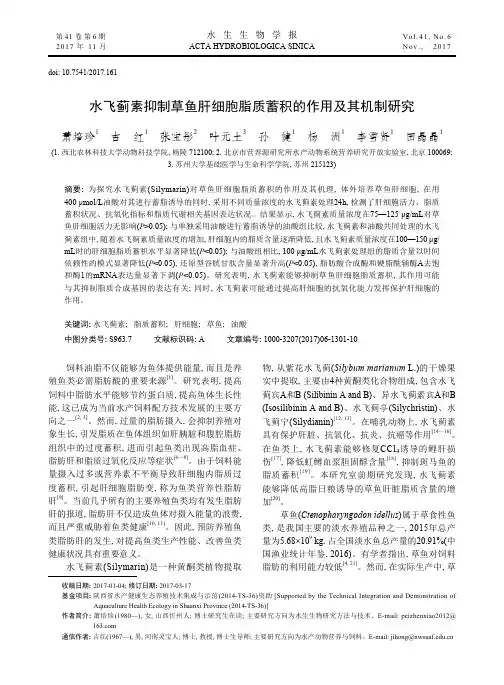 水飞蓟素抑制草鱼肝细胞脂质蓄积的作用及其机制研究