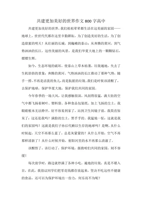 共建更加美好的世界作文800字高中