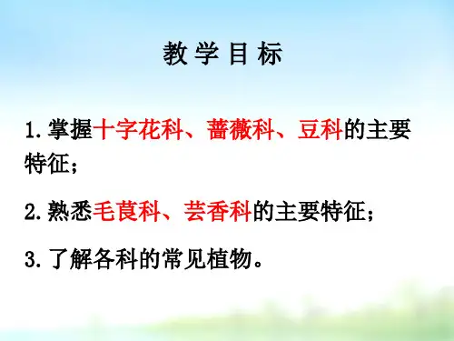 药用植物学课件 15毛十蔷豆芸科
