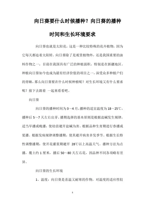 向日葵要什么时候播种？向日葵的播种时间和生长环境要求
